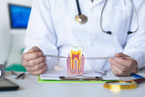 Best Holiday Emergency Dentist in Pawnee, IL